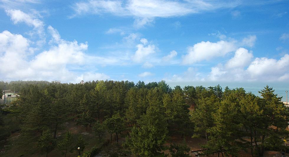 Jumunjin Resort جانجنيونج المظهر الخارجي الصورة