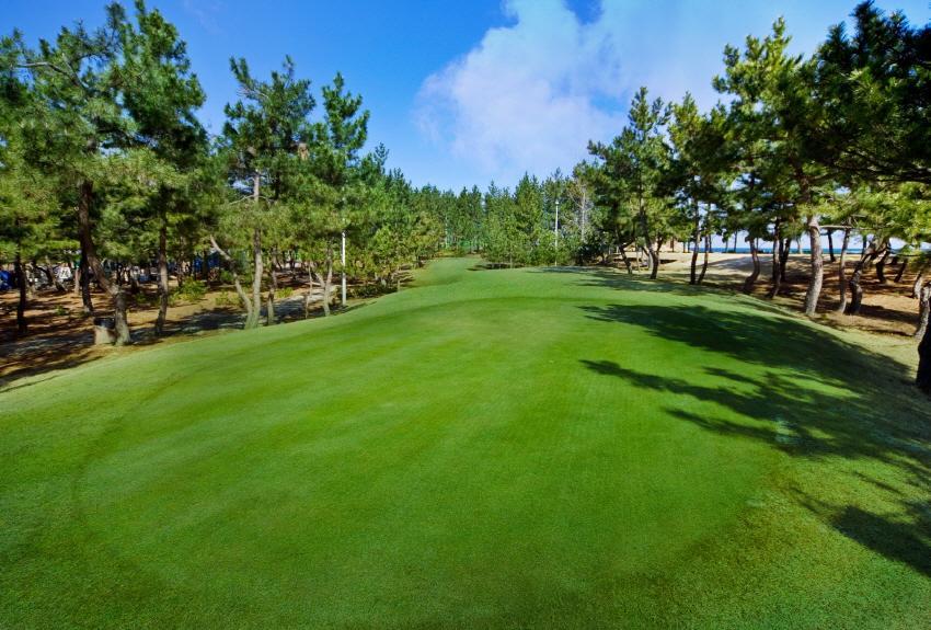 Jumunjin Resort جانجنيونج المظهر الخارجي الصورة